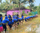NSS Units of Milagres College, enthusiastically involved in traditional ‘Paddy Cultivation’ at Balam